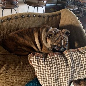 Meet your Posher, Staci